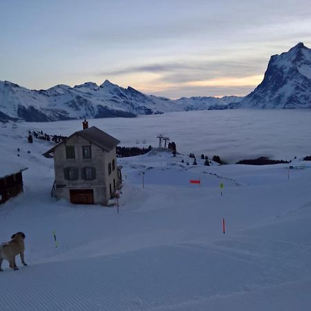 Lodge Bergrestaurant Kleine Scheidegg Ngoại thất bức ảnh