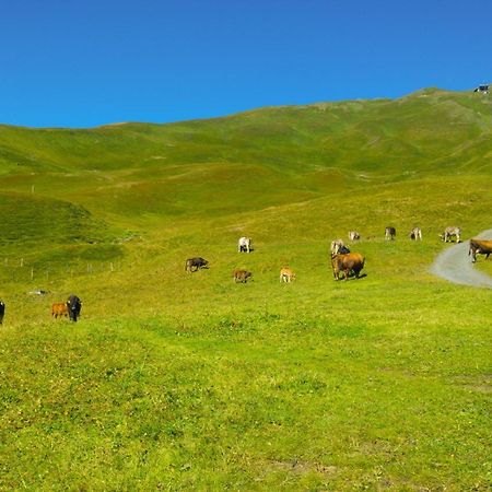 Lodge Bergrestaurant Kleine Scheidegg Ngoại thất bức ảnh