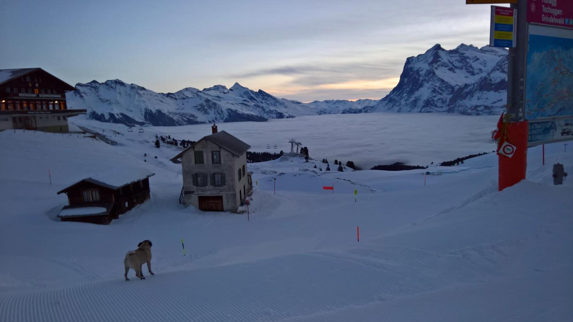 Lodge Bergrestaurant Kleine Scheidegg Ngoại thất bức ảnh