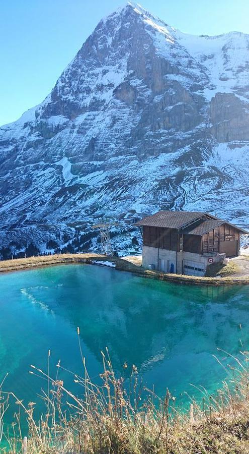 Lodge Bergrestaurant Kleine Scheidegg Ngoại thất bức ảnh